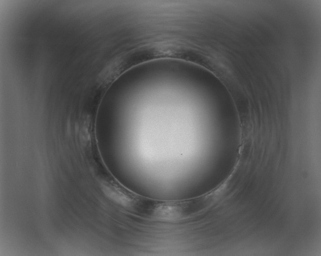 X0000068290174200604211146