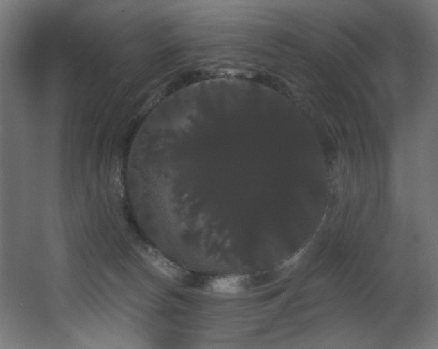 X0000068290178200604211146