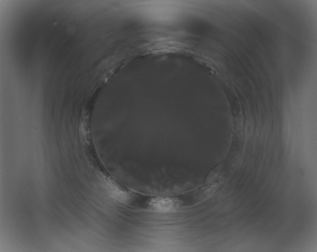 X0000068290181200604211146