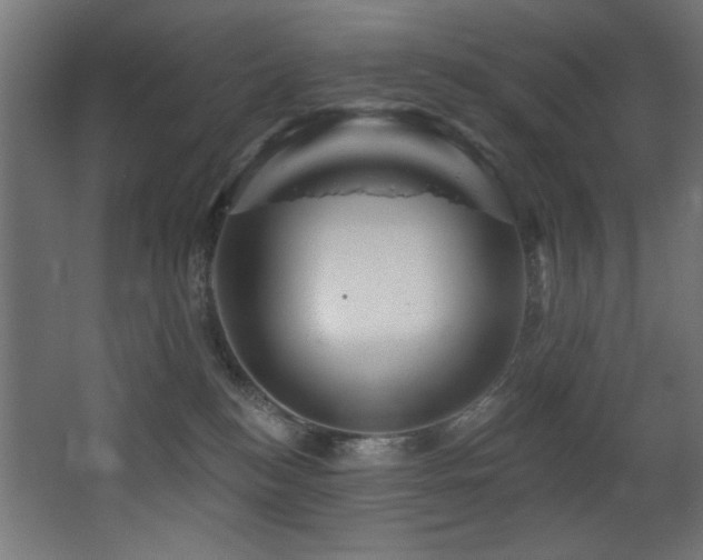 X0000068290184200604211146