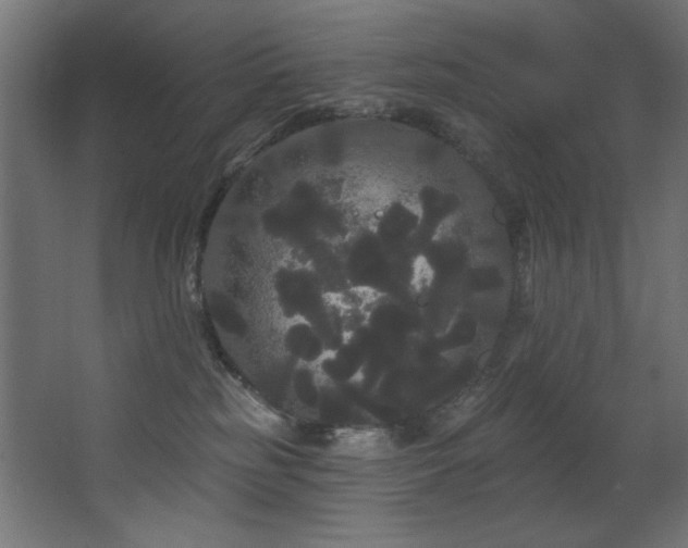 X0000068290185200604211146