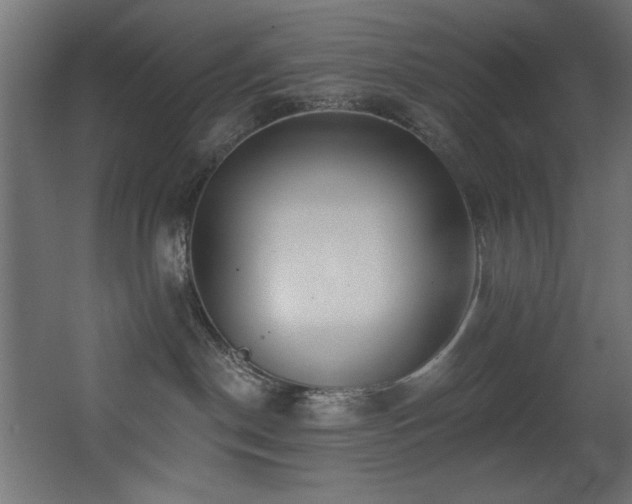 X0000068290190200604211147