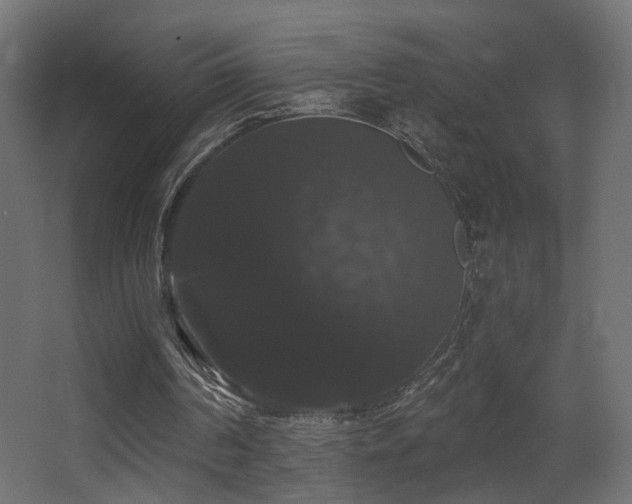 X0000068290194200604211146