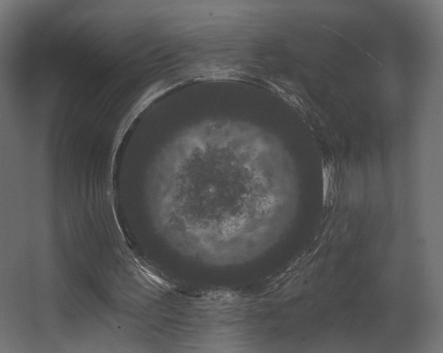 X0000068290195200604211146