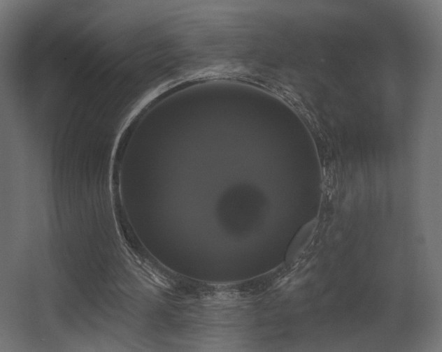 X0000068290196200604211146