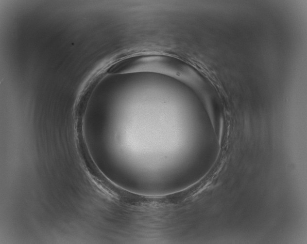 X0000068290197200604211146