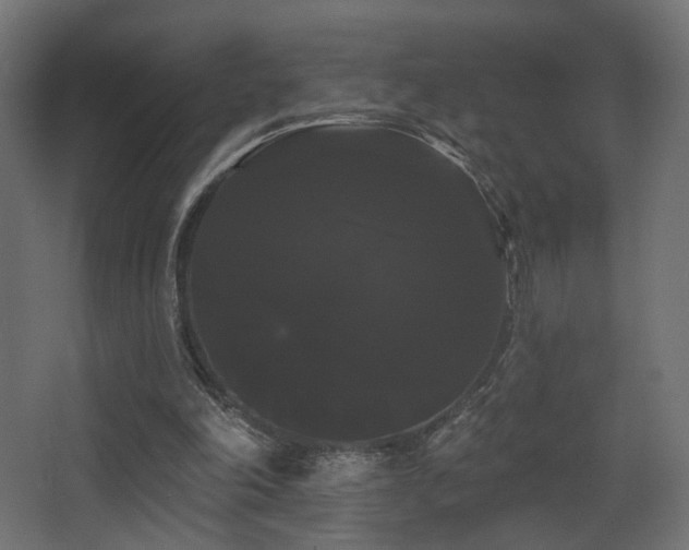 X0000068290198200604211146