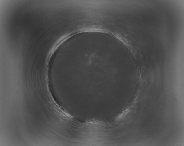 X0000068290199200604211146