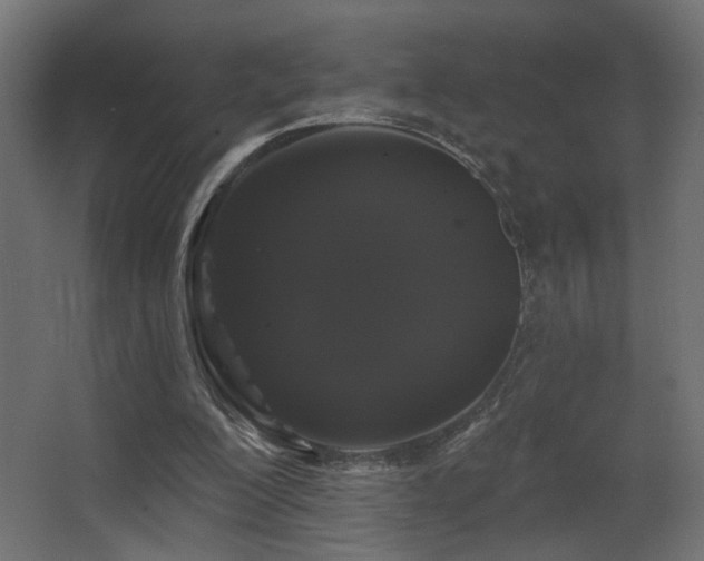 X0000068290200200604211146