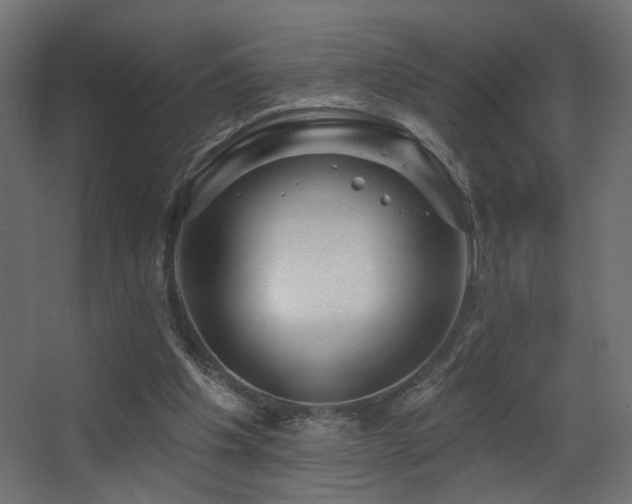 X0000068290201200604211146
