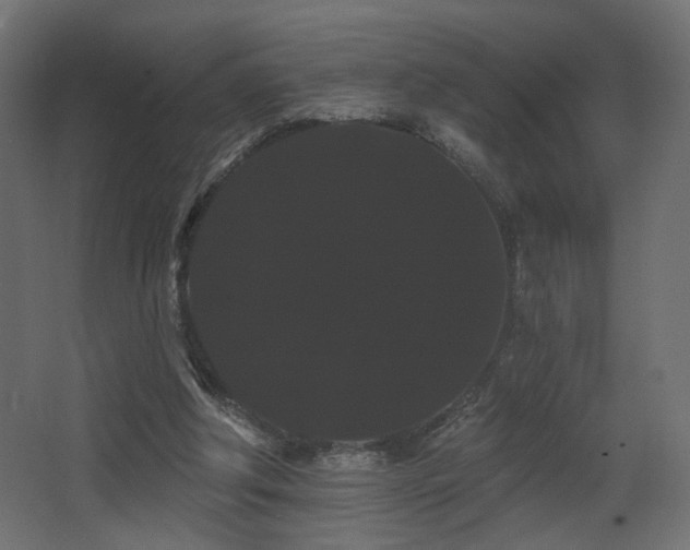 X0000068290202200604211146