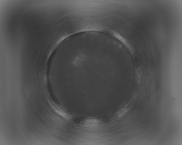 X0000068290203200604211146