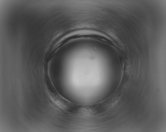 X0000068290207200604211145