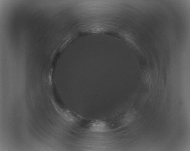 X0000068290214200604211145