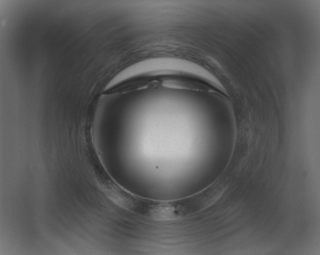 X0000068290217200604211145