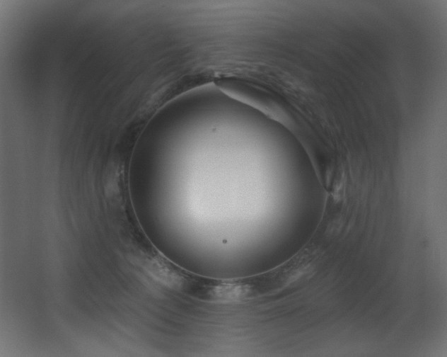 X0000068290225200604211145