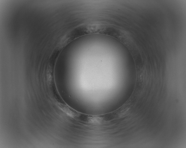 X0000068290226200604211145