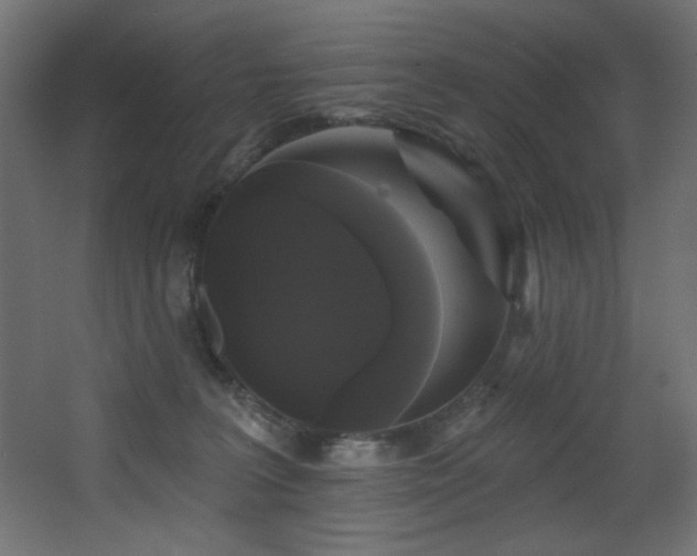 X0000068290227200604211145