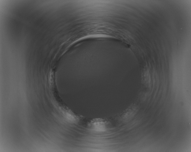 X0000068290228200604211145