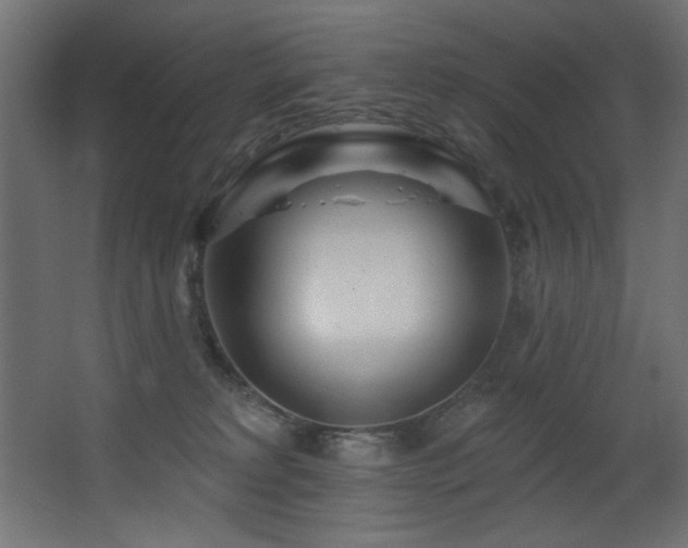 X0000068290229200604211145
