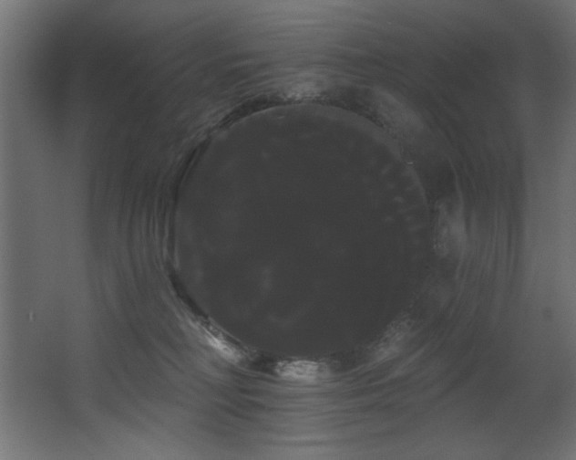 X0000068290230200604211145
