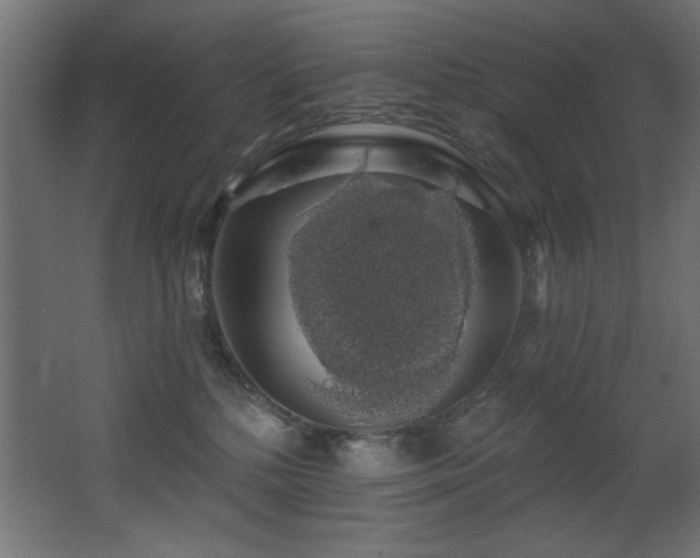 X0000068290232200604211145