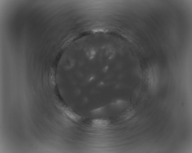 X0000068290234200604211145