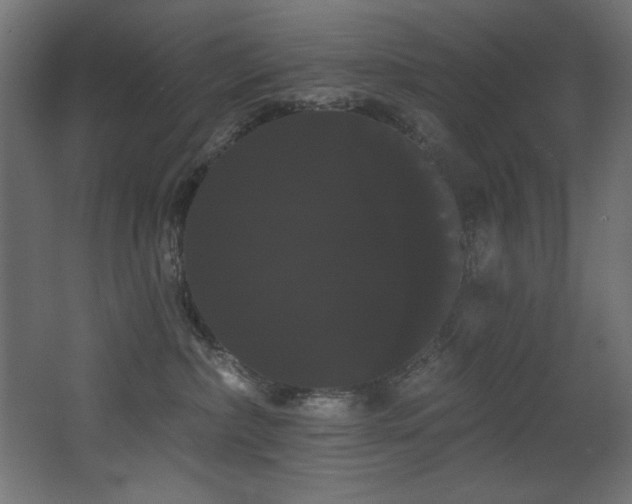 X0000068290236200604211145
