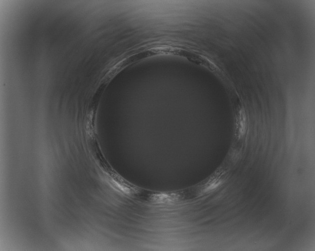 X0000068290239200604211145