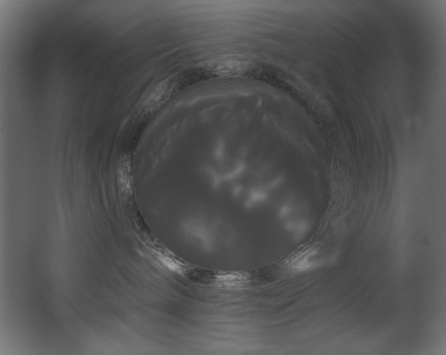 X0000068290240200604211145