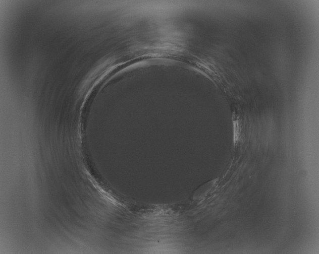 X0000068290243200604211144
