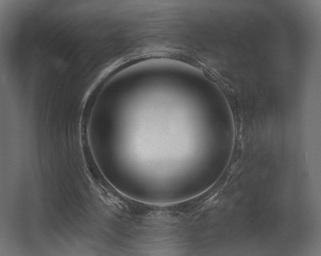X0000068290244200604211144