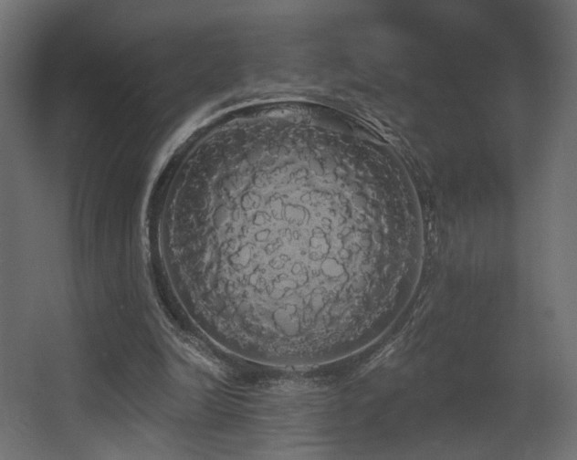 X0000068290246200604211144