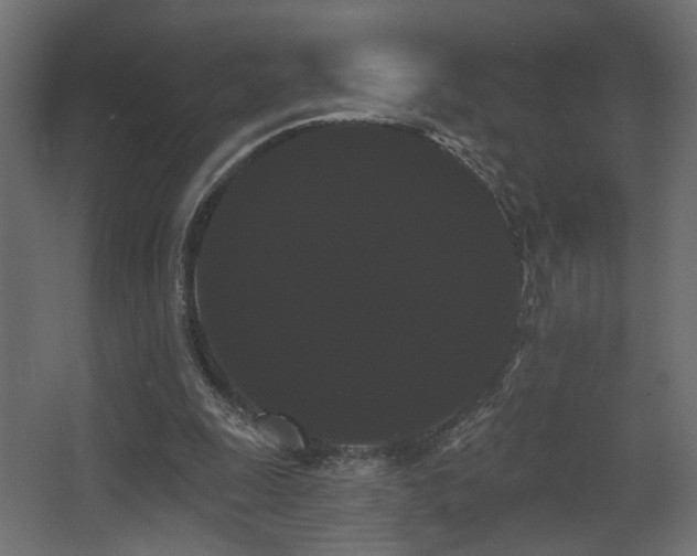 X0000068290247200604211144