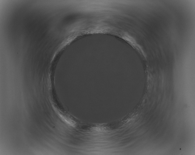 X0000068290250200604211144