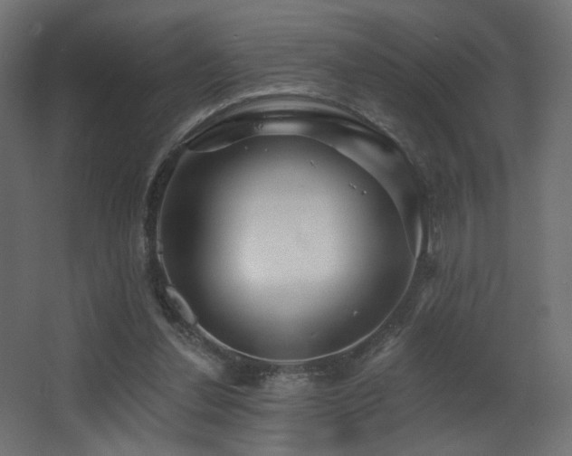 X0000068290252200604211144