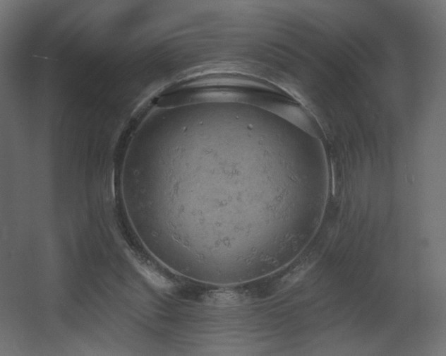X0000068290253200604211144