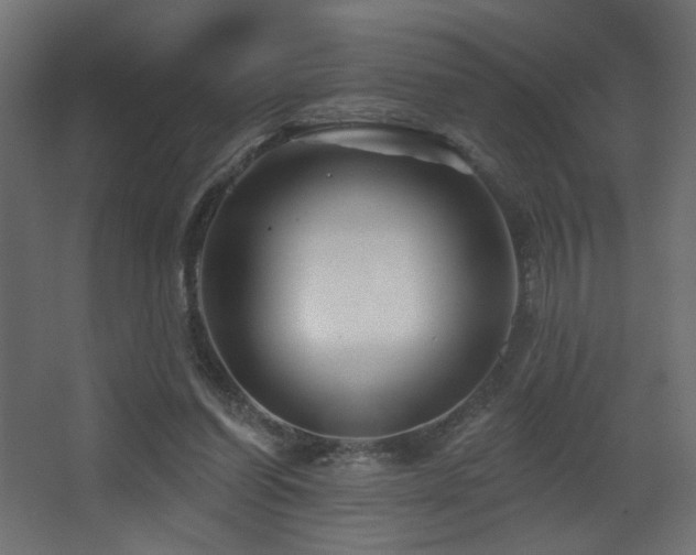 X0000068290254200604211144