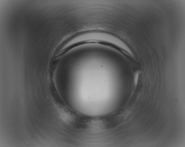X0000068290256200604211144