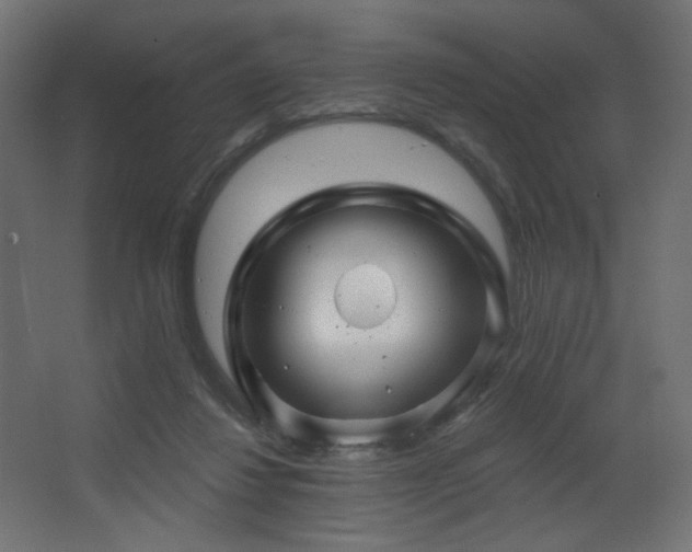 X0000068290260200604211144