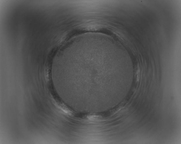 X0000068290268200604211145