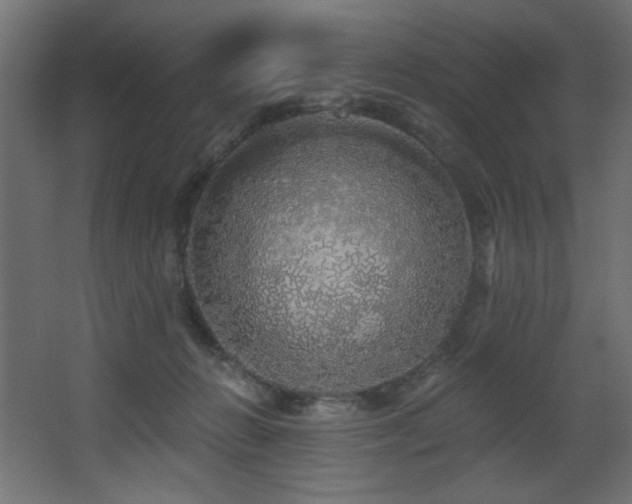X0000068290270200604211145