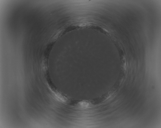X0000068290272200604211145