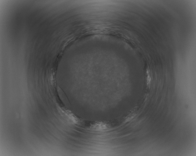 X0000068290276200604211145