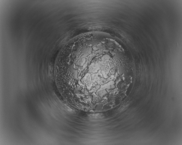 X0000068290281200604211145