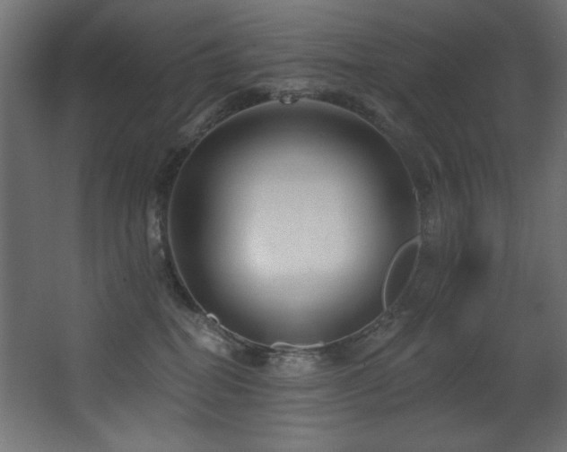 X0000068290282200604211145