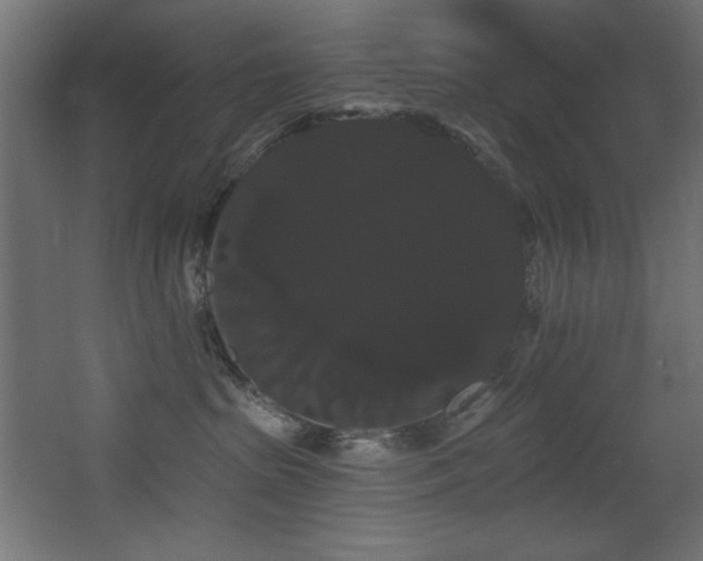 X0000068290285200604211145