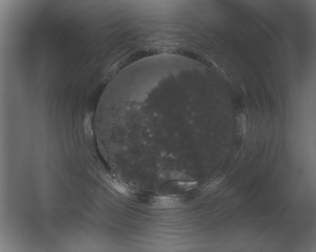 X0000068290286200604211145