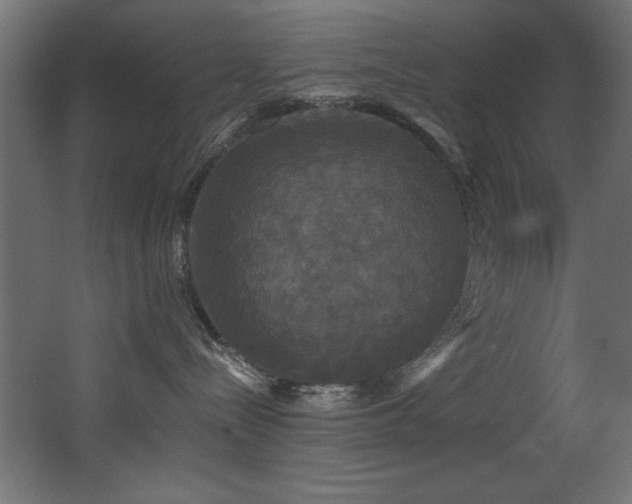 X0000068290288200604211145