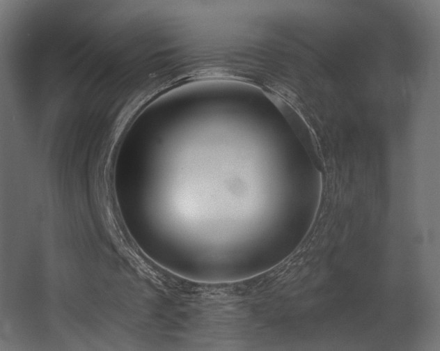 X0000068290289200604211144